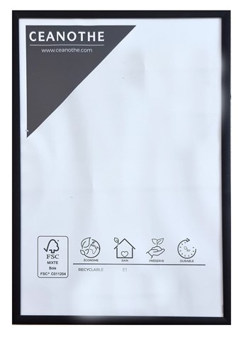 Ramka aluminiowa AL2130GDblack<br>
Rozmiar ramki: 21x29,7<br>