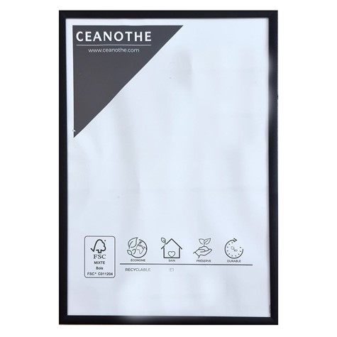 Ramka  21x29,7cm AL30GDblack