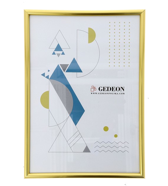 Plastic Frame 21x29,7plast. gold, glass BB2129,7Gg