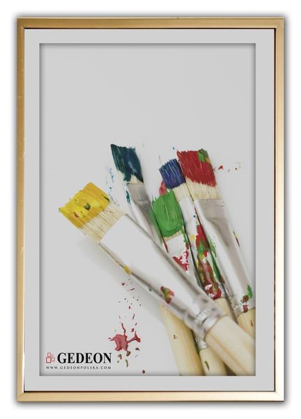 Plastic frames with plexi 40x60 BD4060G