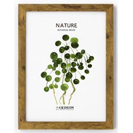 Wooden frame 10x15cm D210 (15x9mm)