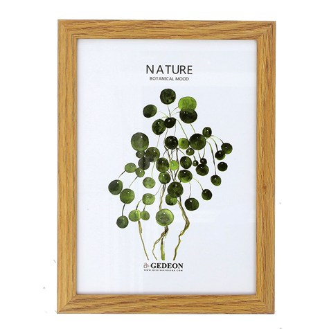 Wooden frame 10x15cm D510 (15x9mm)