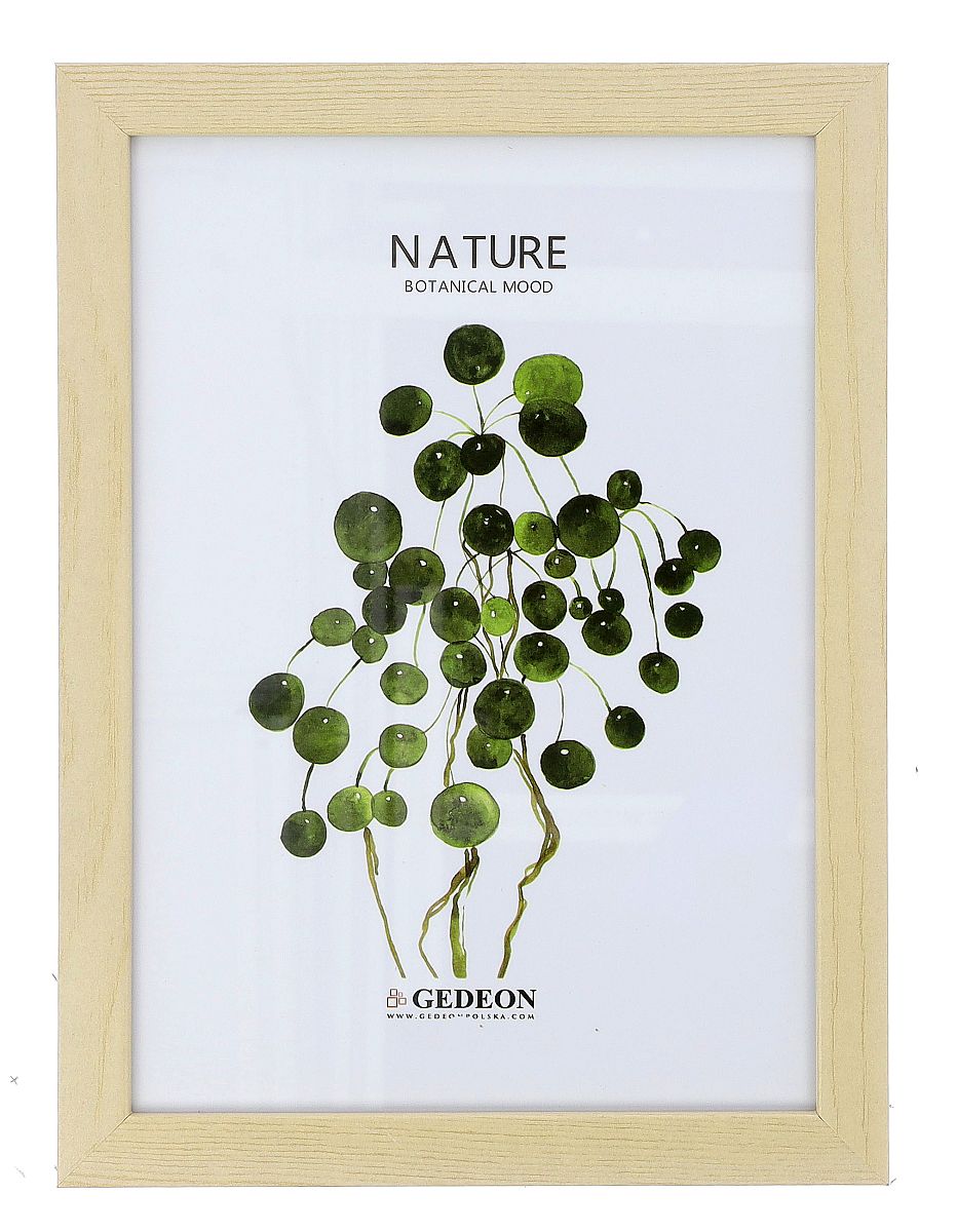 Wooden frame 10x15cm D610 (15x9mm)