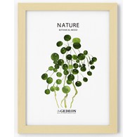 Wooden frame 10x15cm D610 (15x9mm)