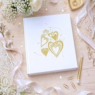 Book bound traditional album 24x29/40 DBCS20 MOMENT03(B)