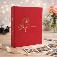 Glue bound pocket album 10x15/304 DPH46304/2 ART100(B)