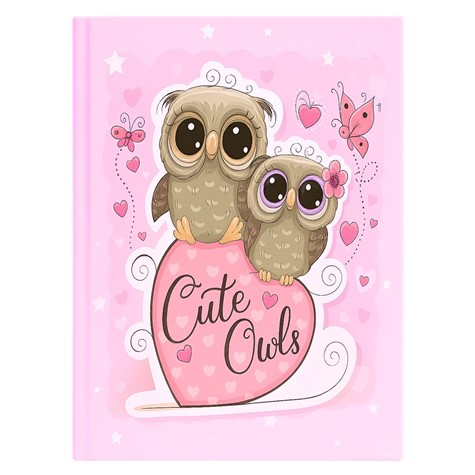 Album samoprzylepny spirala DRS10BABY08<br>
Rozmiar stron: 23x28<br>
Ilość stron: 20<br>