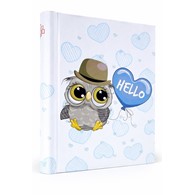 Album samoprzylepny spirala 23x28 cm 40 stron DRS20HELLOOWLBLUE