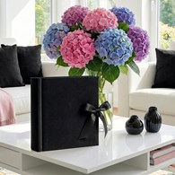 Book bound pocket album 10x15/100 KD46100 VELVET ONYX