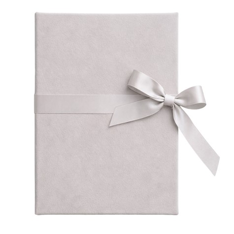 Leporello album 10x15/12 LP46 VELVET DOVE