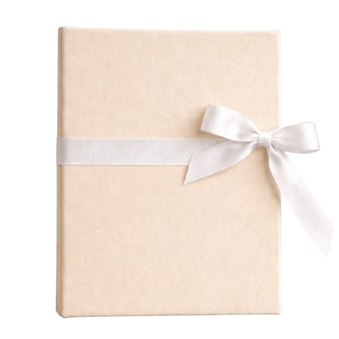 Leporello album 10x15/12 LP46 VELVET HONEY