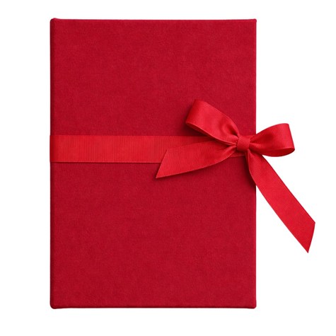 Leporello album 10x15/12 LP46 VELVET RUBY