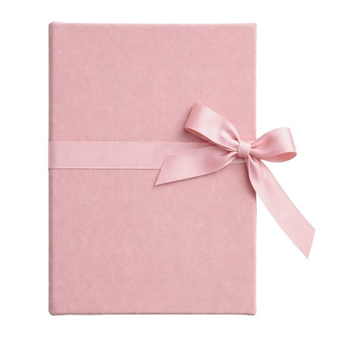 Leporello album 15x21/12 LP68 VELVET CAMEO