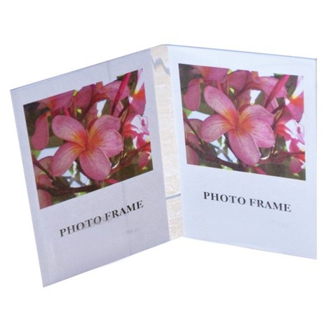 Ramka   PLX1318/2ACV