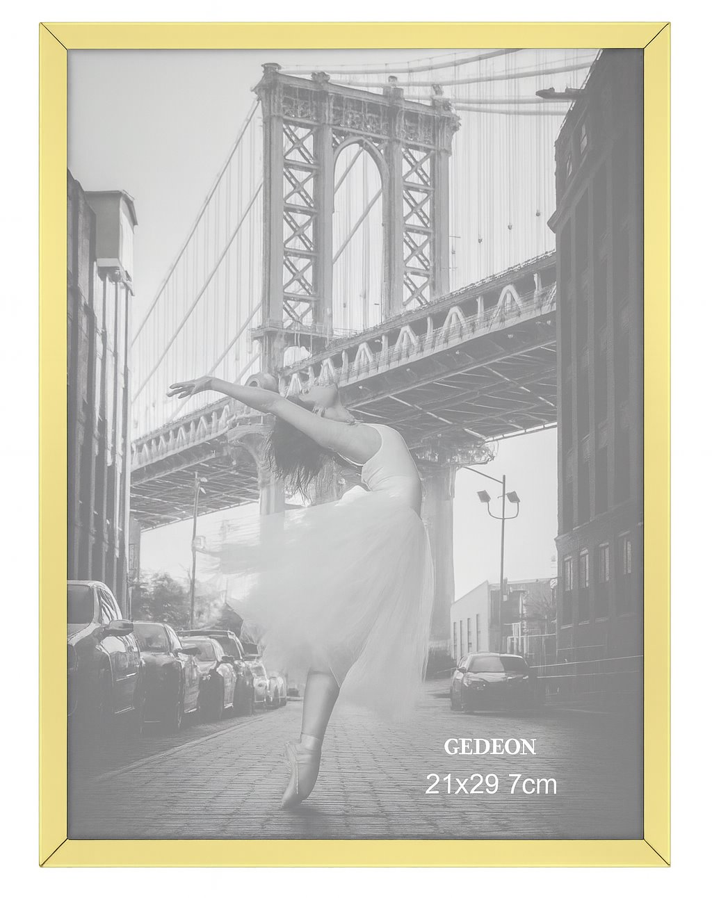 Ramka metalowa SSC21<br>
Rozmiar ramki: 21x29,7<br>